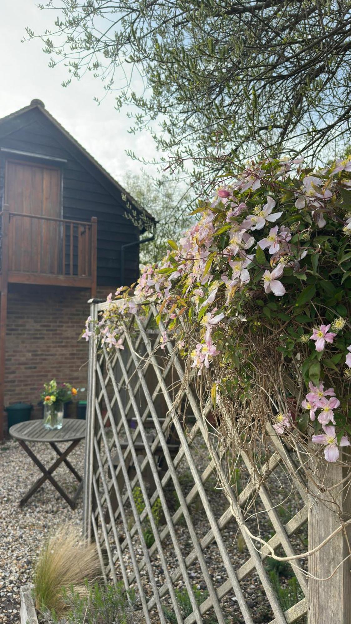 Home In Dorset, Near Jurassic Coast And Arne Wareham Kültér fotó